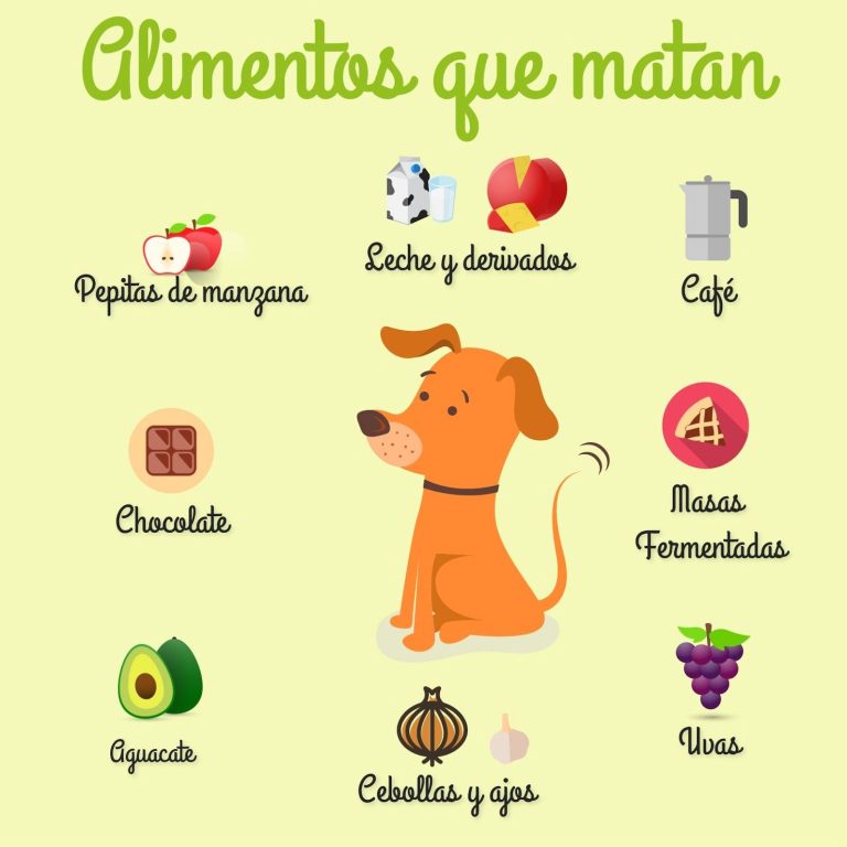 Cómo Puedo Prevenir La Intoxicación Por Colchicum En Las Mascotas?