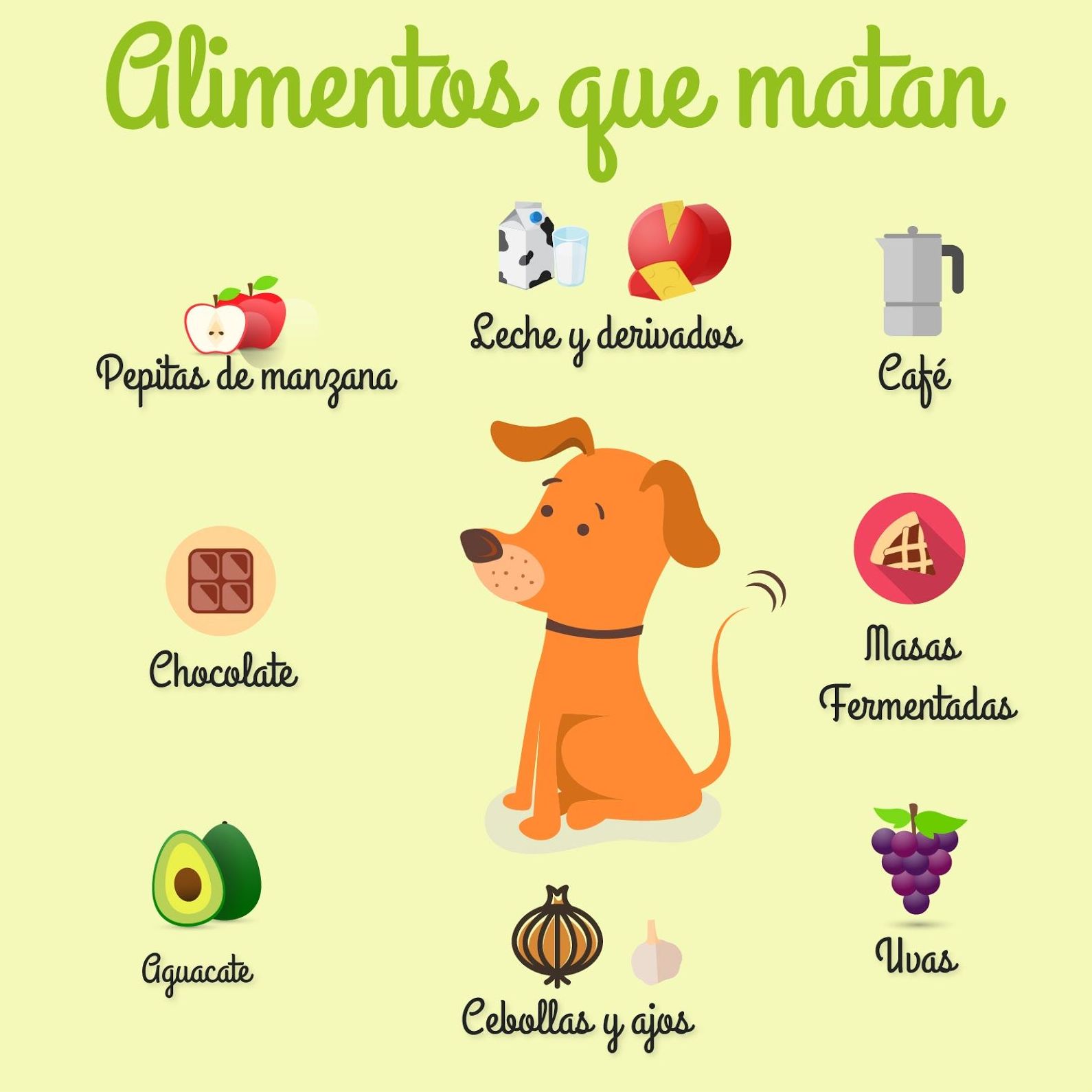 Cómo puedo prevenir la intoxicación por Colchicum en las mascotas?