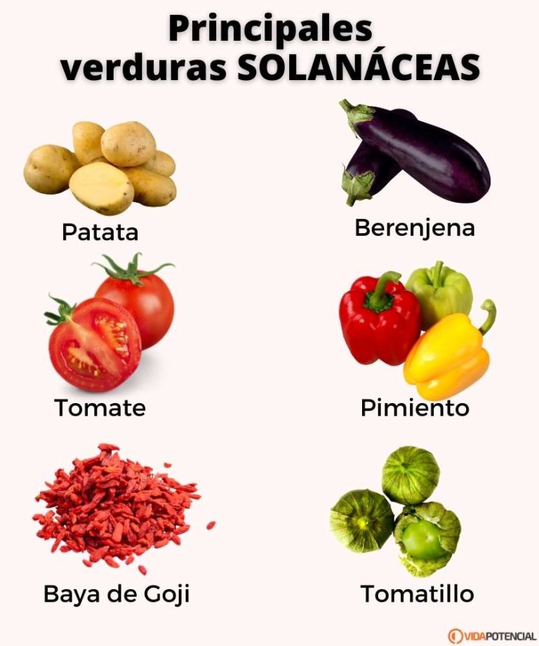Existen Rituales Etnobotánicos Que Involucren A Las Solanáceas?»