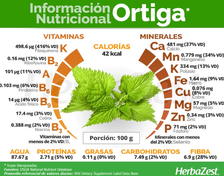Cuál Es El Valor Nutricional De La Ortiga?