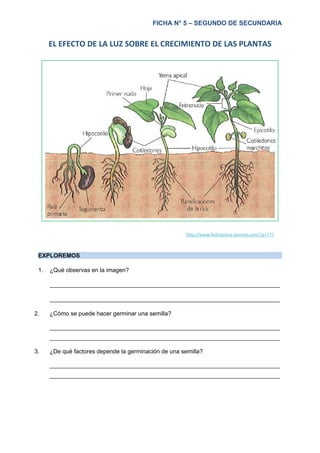 Guía Para Seleccionar Plantas Según Las Condiciones De Luz Solar Y Suelo.