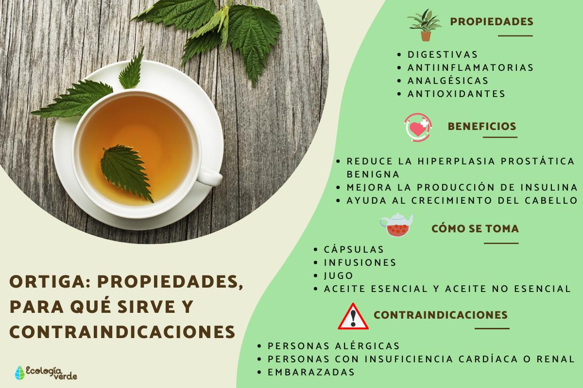Cuáles son los usos de la ortiga?